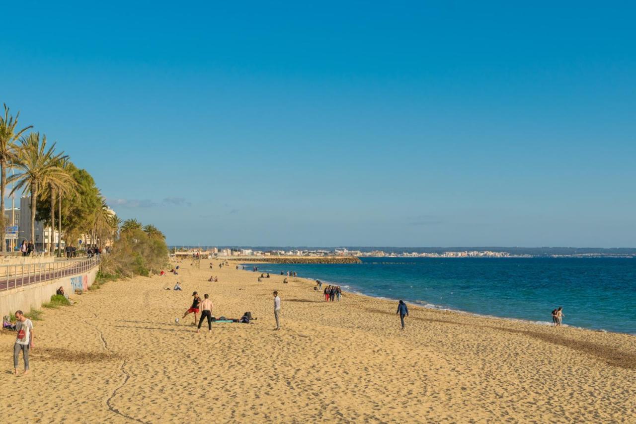 Centric Palma