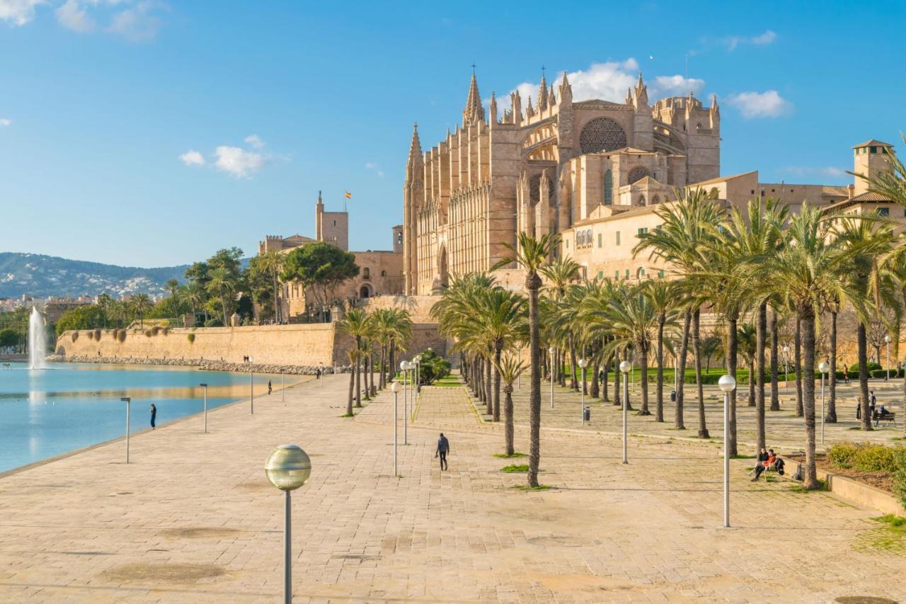 Centric * Palma